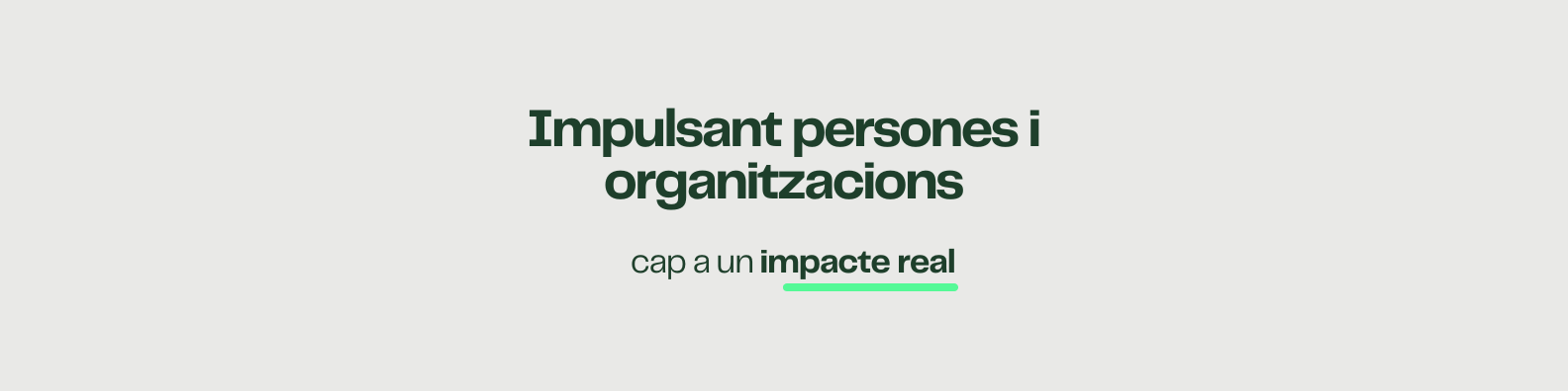 Acompanyo persones i organitzacions cap a un impacte real